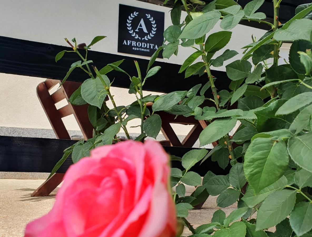 Afrodita Apartment Vrdnik Zewnętrze zdjęcie