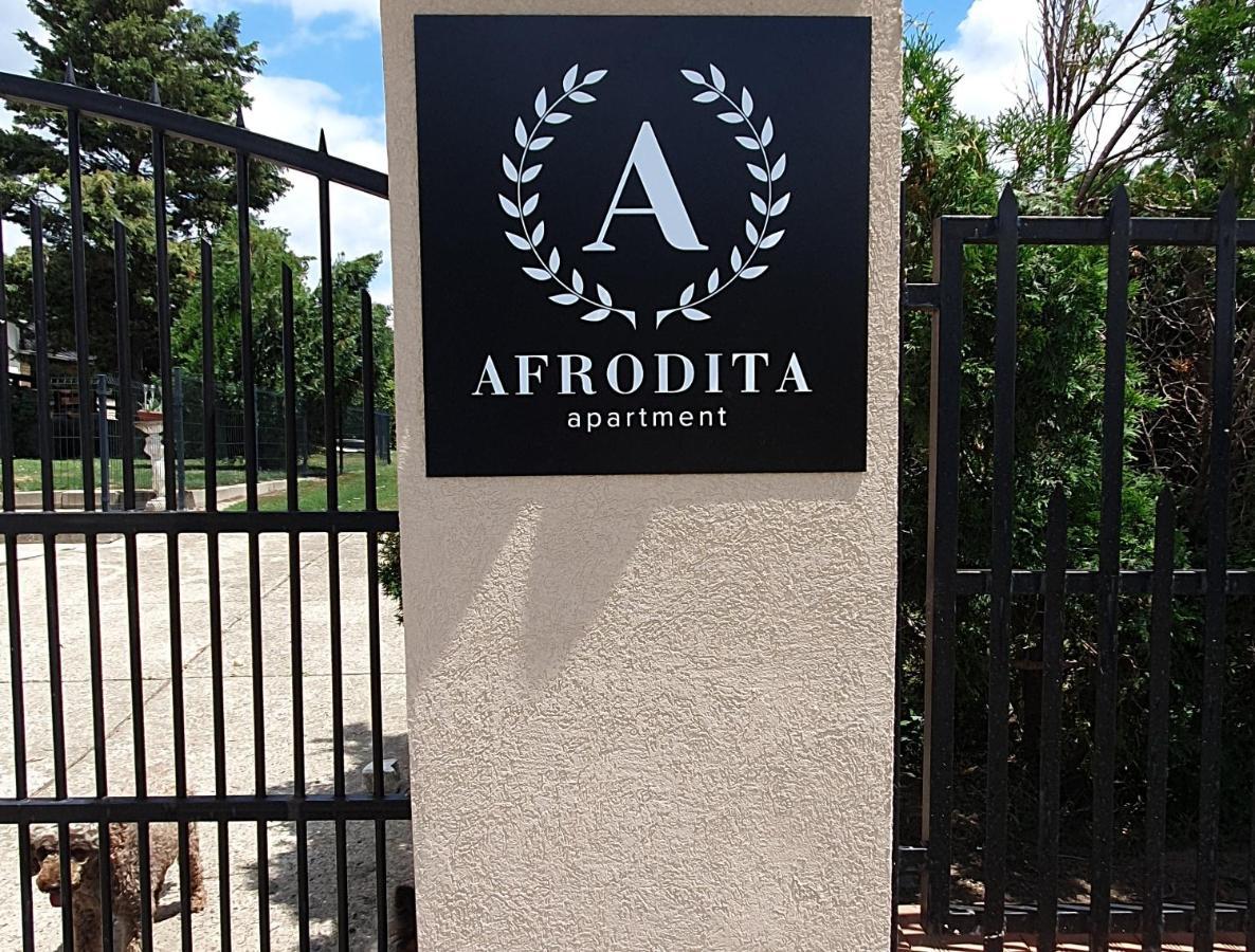 Afrodita Apartment Vrdnik Zewnętrze zdjęcie