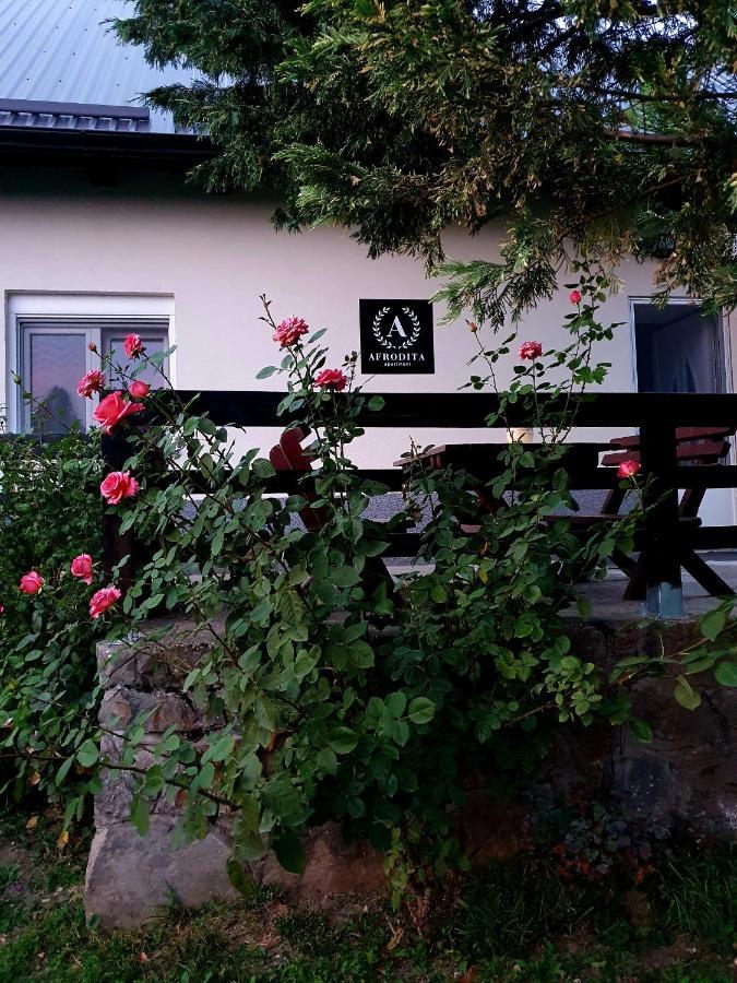 Afrodita Apartment Vrdnik Zewnętrze zdjęcie