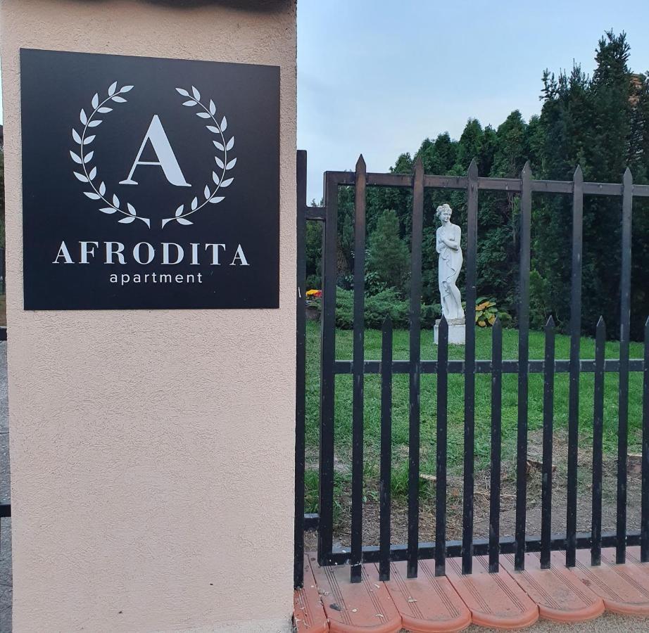 Afrodita Apartment Vrdnik Zewnętrze zdjęcie