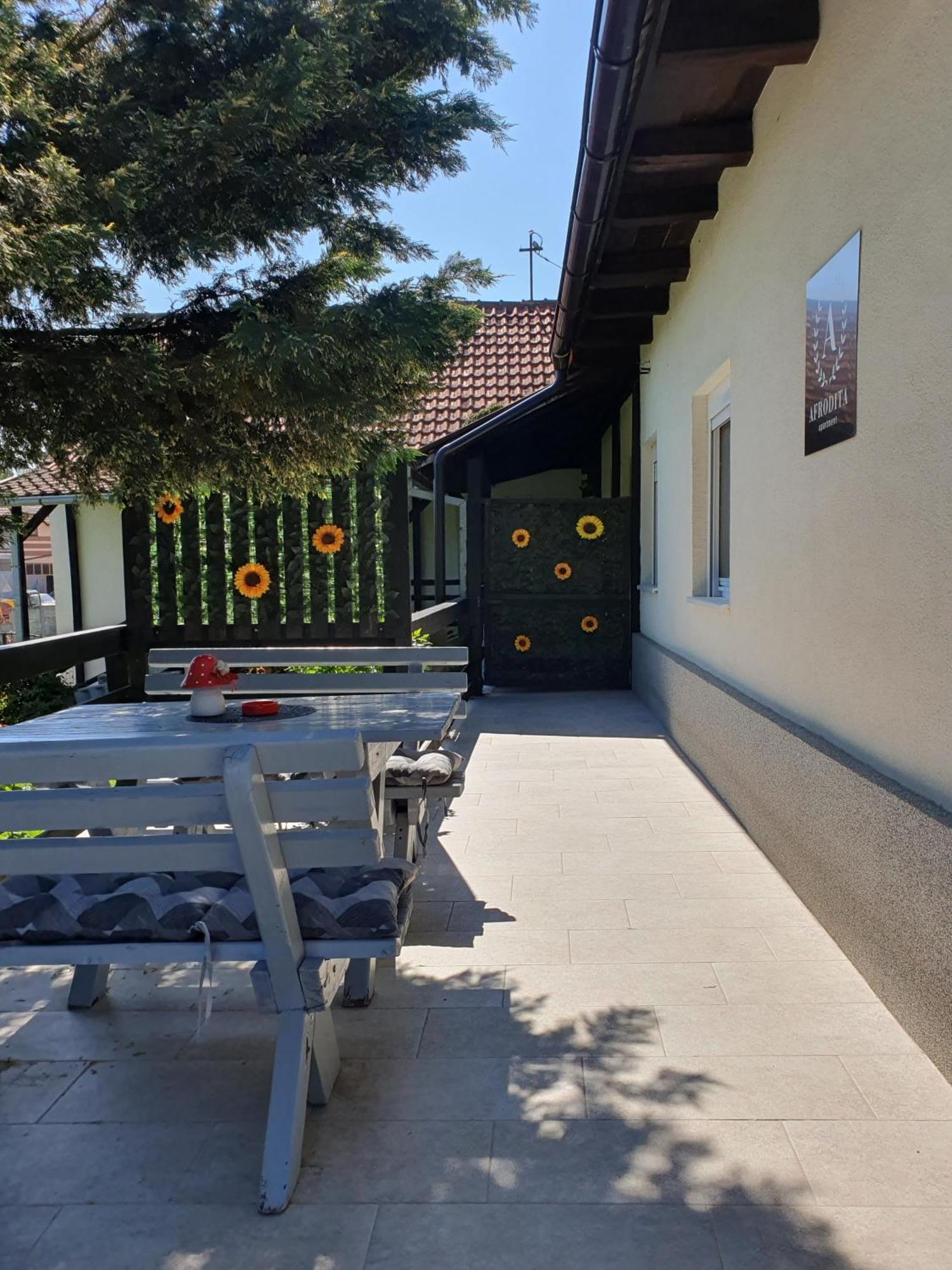 Afrodita Apartment Vrdnik Zewnętrze zdjęcie