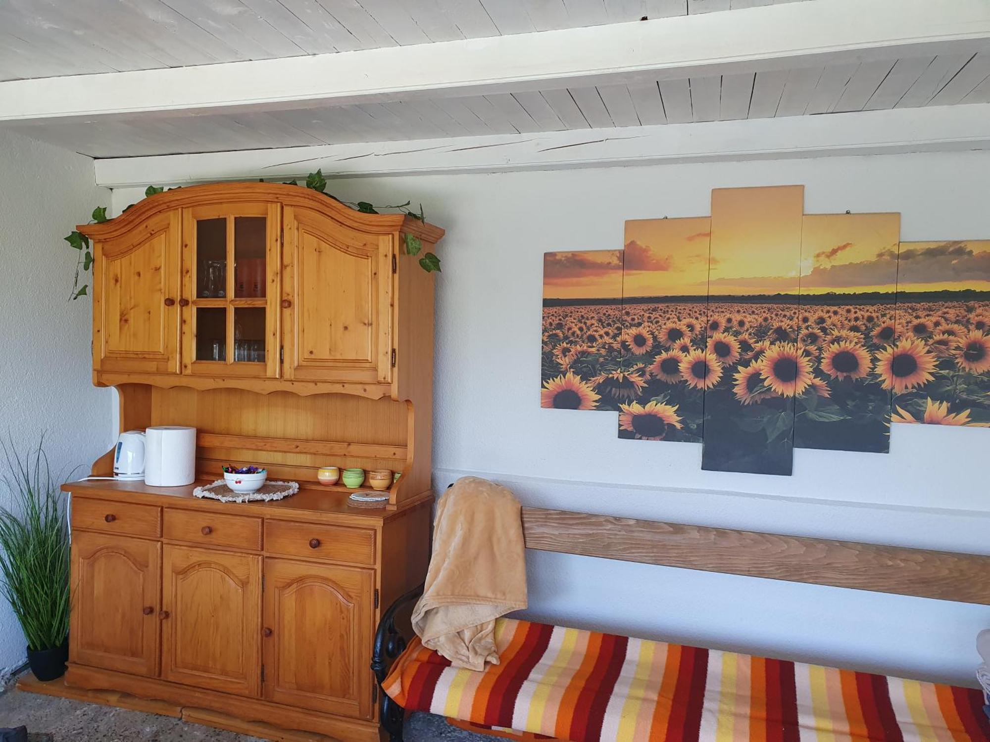 Afrodita Apartment Vrdnik Zewnętrze zdjęcie